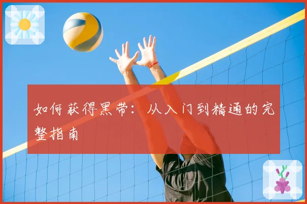 如何获得黑带:从入门到精通的完整指南