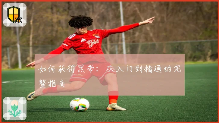 如何获得黑带：从入门到精通的完整指南